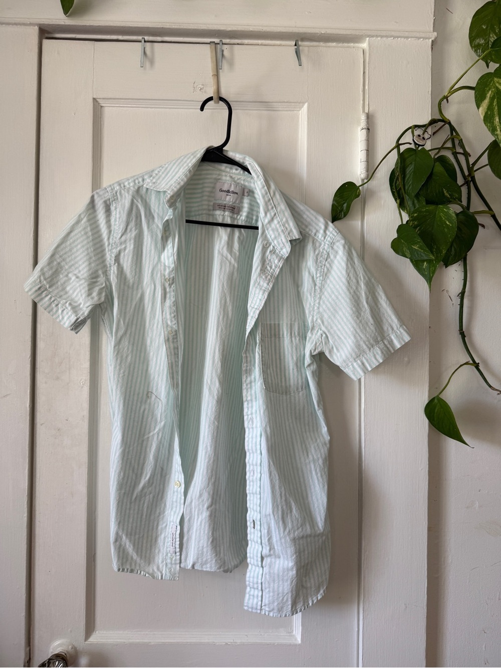 Goodfellow & Co Light Mint and White Striped Short-Sleeve Button-Down Shirt